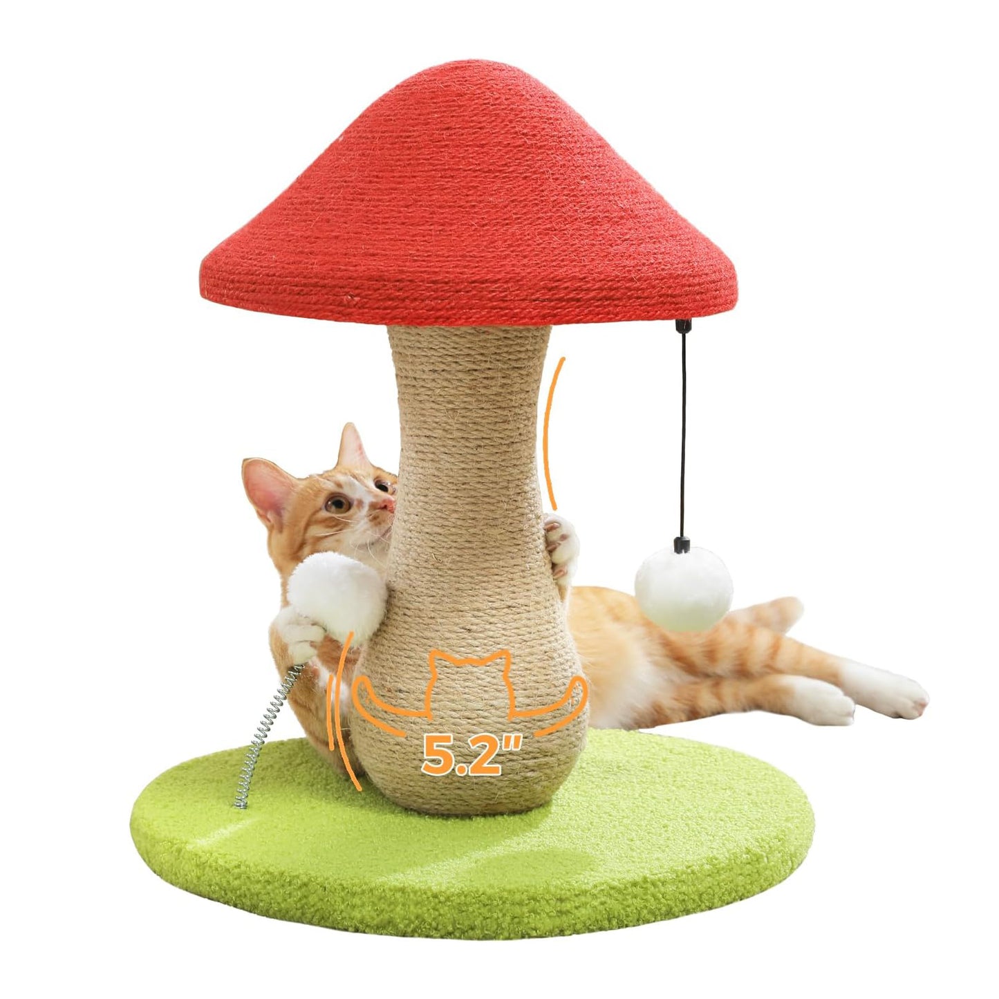 Mushroom Cat Post