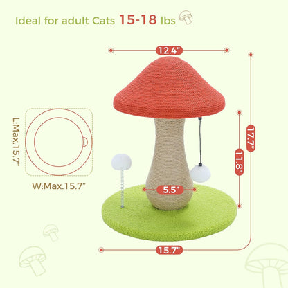 Mushroom Cat Post