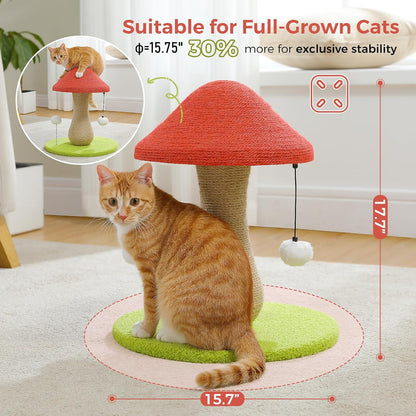 Mushroom Cat Post