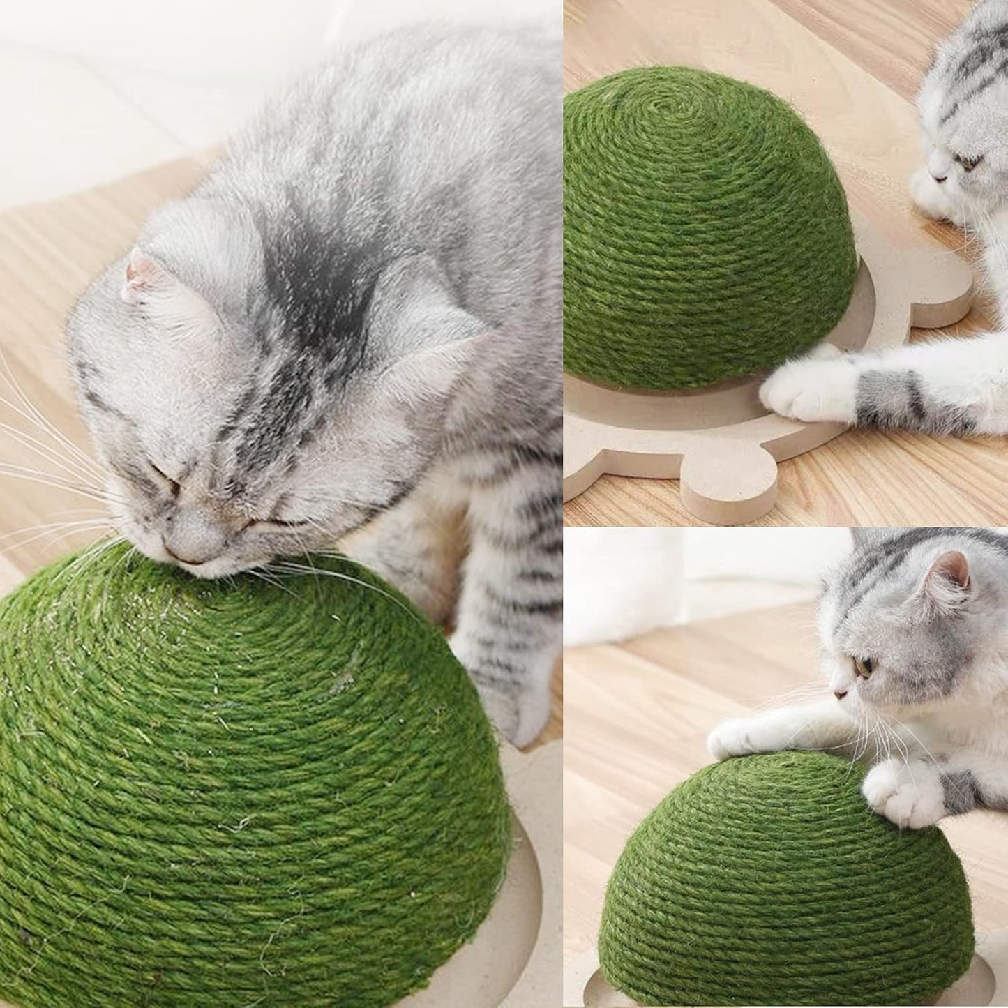 Cats Scratching Ball